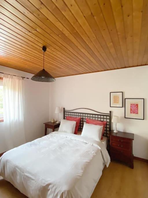 Casa De Alventela - Countryside House Βίλα Paredes de Viadores Εξωτερικό φωτογραφία